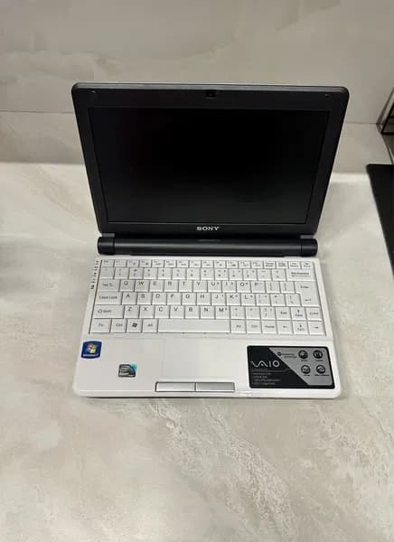 Ноутбук Sony VAIO для домашних задач